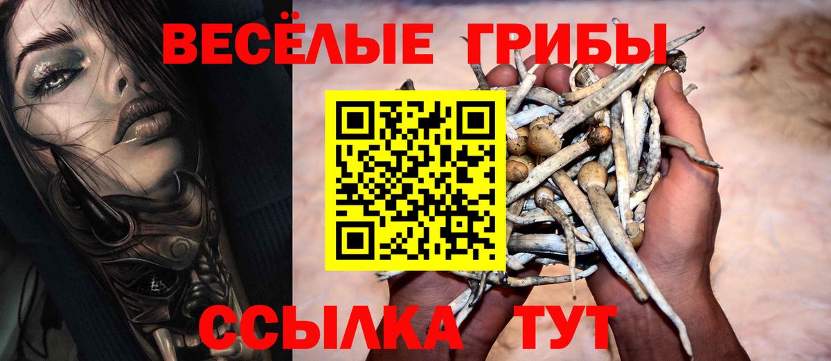 Псилоцибиновые грибы MAGIC MUSHROOMS Междуреченск