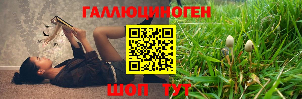 Псилоцибиновые грибы мицелий  Вход с VPN  Междуреченск  Псилоцибиновые грибы мицелий 